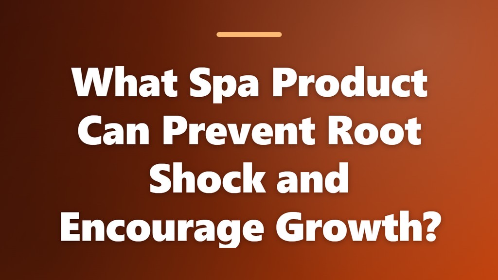 Title graphic with the text “What Spa Product Can Prevent Root Shock and Encourage Growth?”